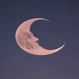 aesthetic crescent moon
