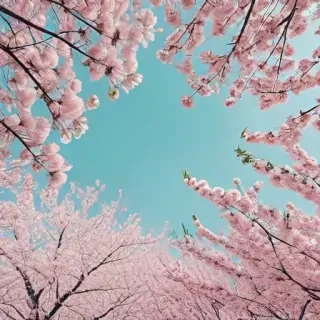 spring aesthetic wallpaper