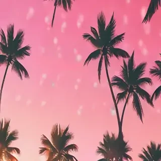 summer phone background