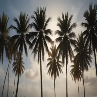 transparent palm trees