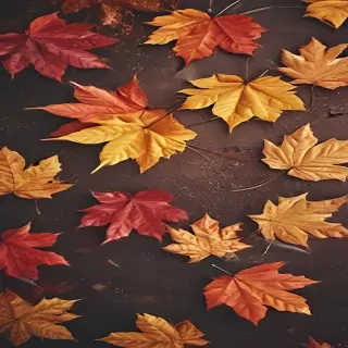 wallpaper autumn iphone