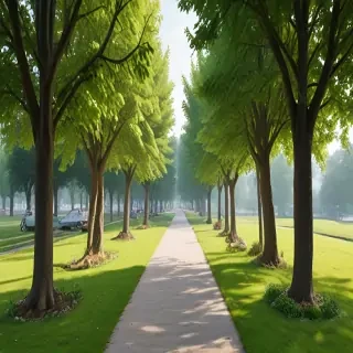 park png