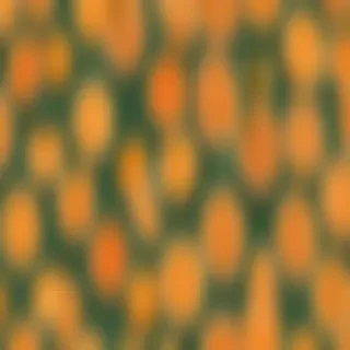 orange aesthetic wallpaper