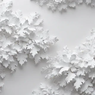 white background wallpaper
