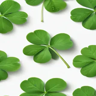 clover png