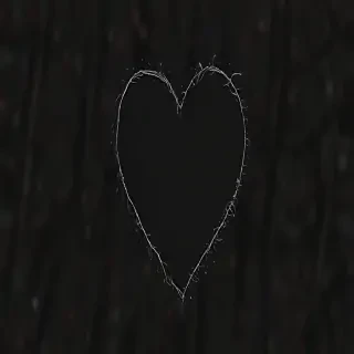 aesthetic black heart wallpaper
