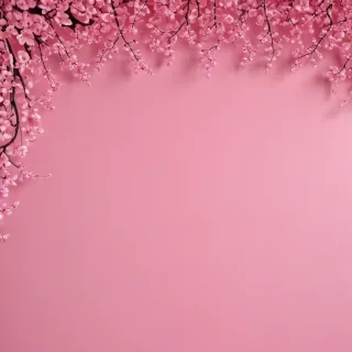 simple pink background