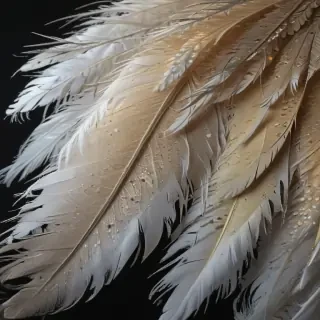 feather design