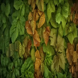 leaf backgrounds