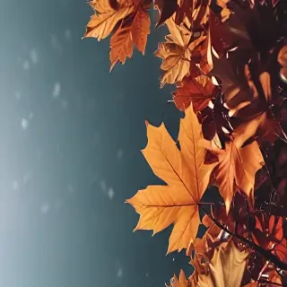 fall wallpaper iphone aesthetic