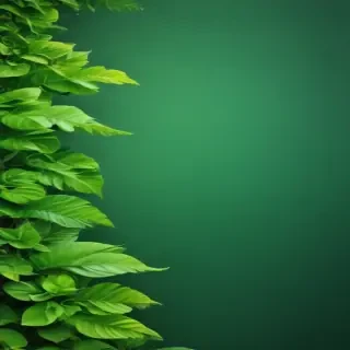 green background for iphone