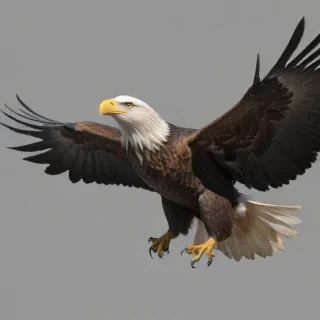 bald eagle png