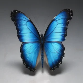 aesthetic blue butterfly