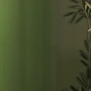 olive green aesthetic wallpaper