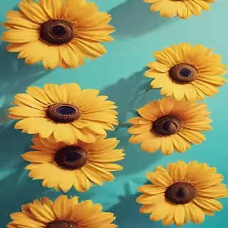 summer iphone wallpaper