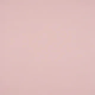 plain light pink wallpaper