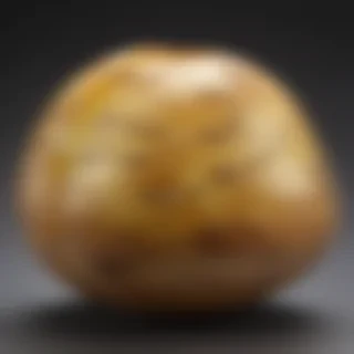 potato transparent