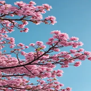 springtime iphone wallpaper
