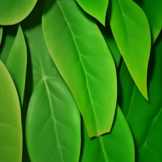 green leaf background