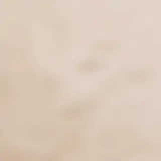 neutral aesthetic background