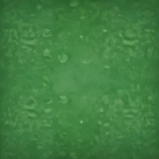 green plain background