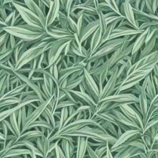 sage aesthetic wallpaper