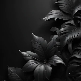 black wallpaper for mobile