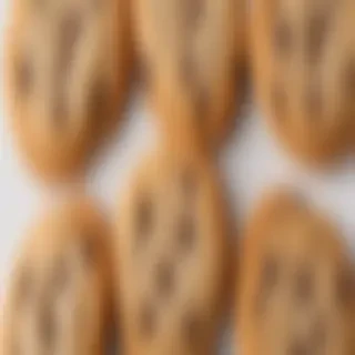 chocolate chip cookie png