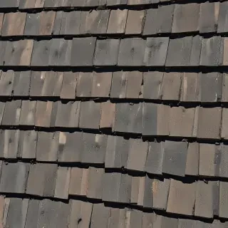 pictures of shingles