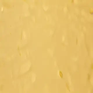 yellow background aesthetic