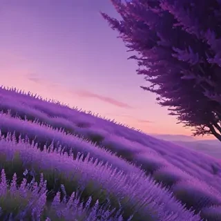 aesthetic lavender wallpaper