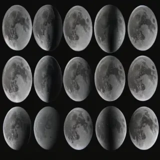 moon phases png