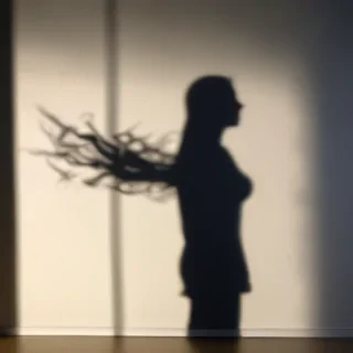shadow wallpaper