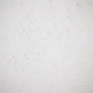 white background wallpaper