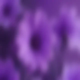 cute purple wallpaper for iphone