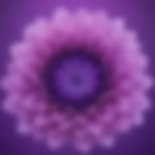 cute purple wallpaper for iphone