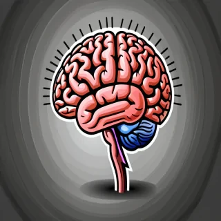 brain clipart