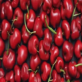 wallpaper cherry