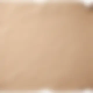 aesthetic ripped paper png