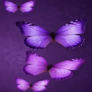 purple wallpapers butterfly