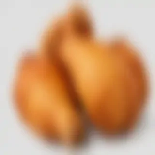 fried chicken png