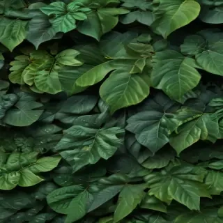background leaves