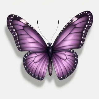 purple butterfly png