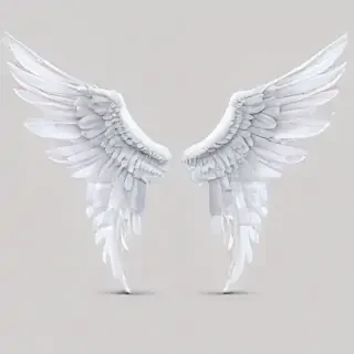 wings transparent