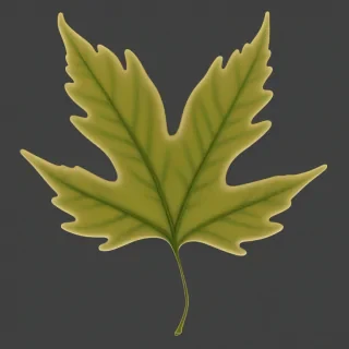 leaf png transparent