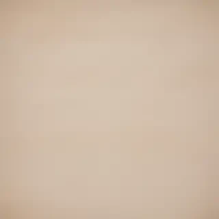 canvas texture overlay