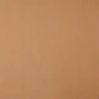 cardboard texture
