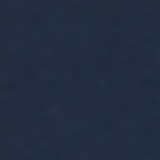 navy blue bg