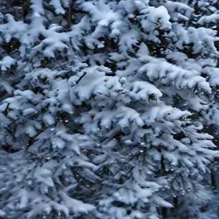 snow iphone background