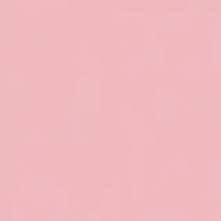 pastel pink bg